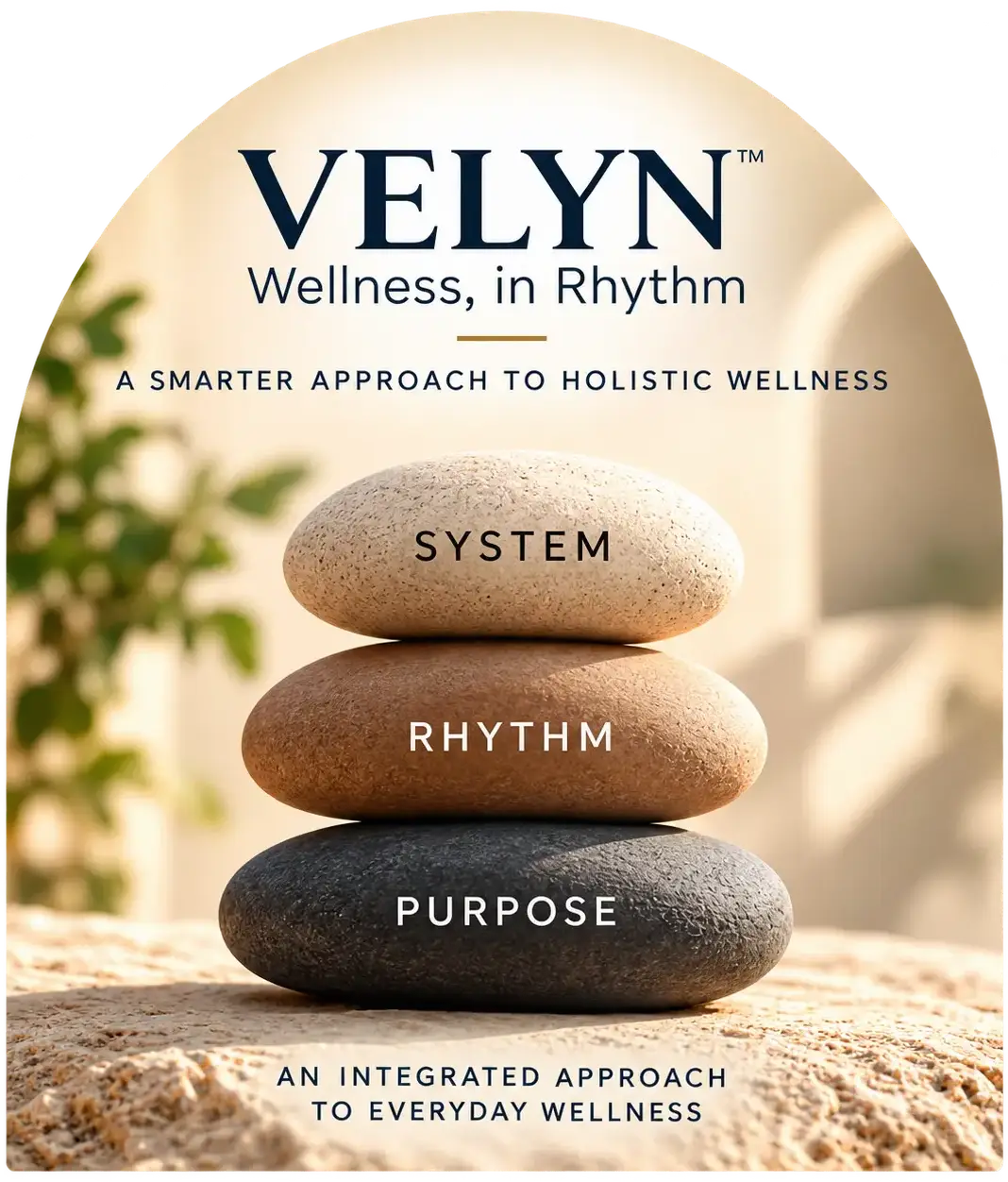 Velyn Wellness in Rhythm branding with stacked stones representing system, rhythm, and purpose.